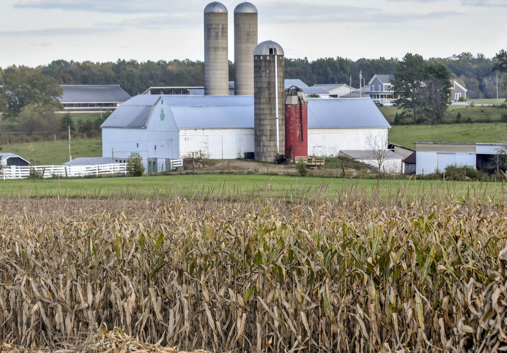 farm